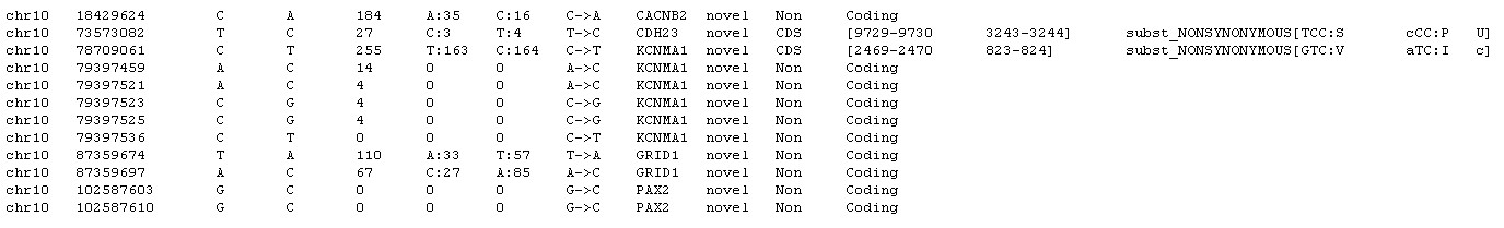 Sample File